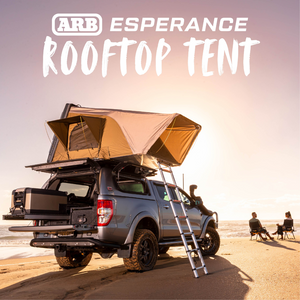 ARB CARPA DE TECHO EN LA AZOTEA ESPERANCE